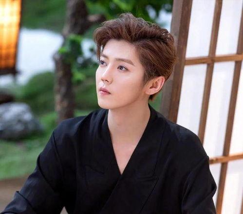 圈内爆料肖战和华晨宇,揭秘娱乐圈的神秘友谊