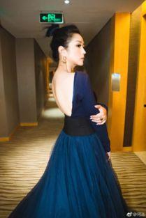 明星减肥成功案例何洁,明星减肥成功之路揭秘