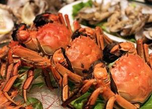 吃过螃蟹可以吃黑密瓜吗,黑密瓜的甜蜜邂逅