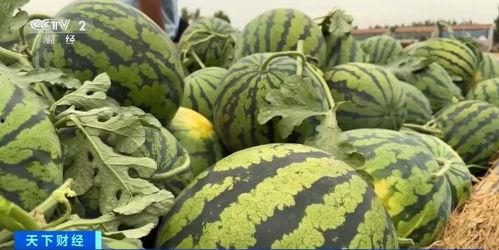 网红吃瓜颜色代表什么,一窥网络舆论背后的真相