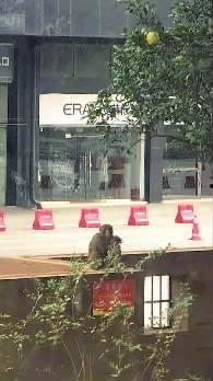 三职专米线明星小区,繁华都市中的美食天堂与宜居典范