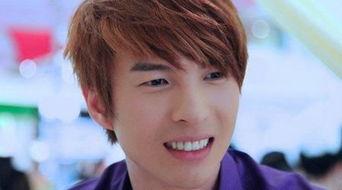 明星的粤语名字,明星粤语名字背后的故事